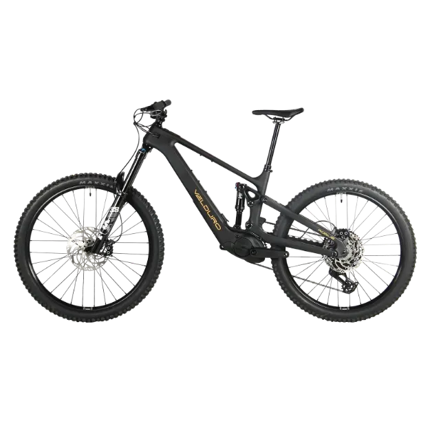 Picture of Velduro Rogue X