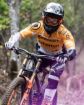 Picture of Hayes Dominion A4 Purple Brake Front / Rear